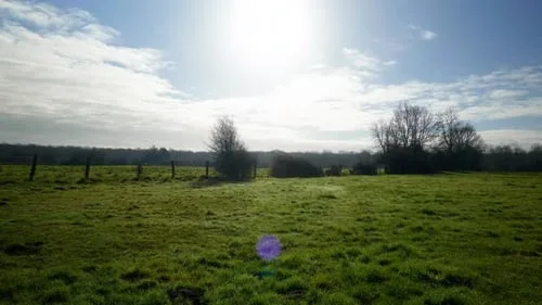 美女网站18田园自然风光高清视频素材